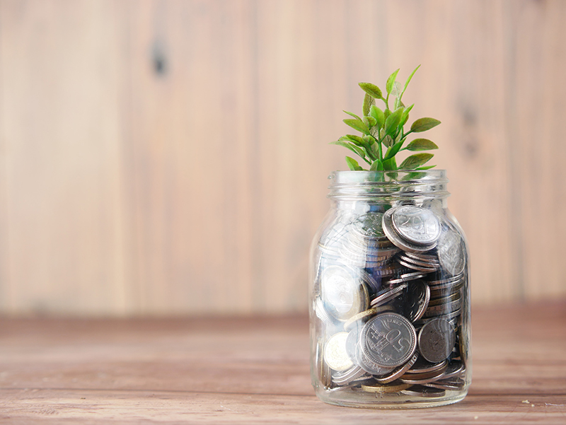 jar-with-money-and-plant